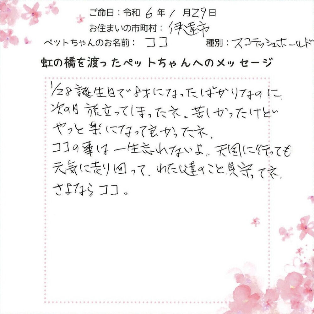 ブログ