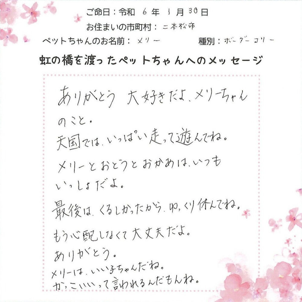 ブログ
