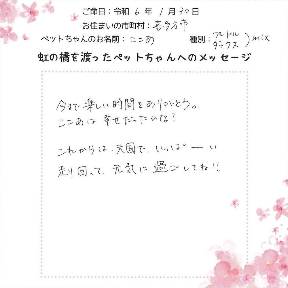 ブログ