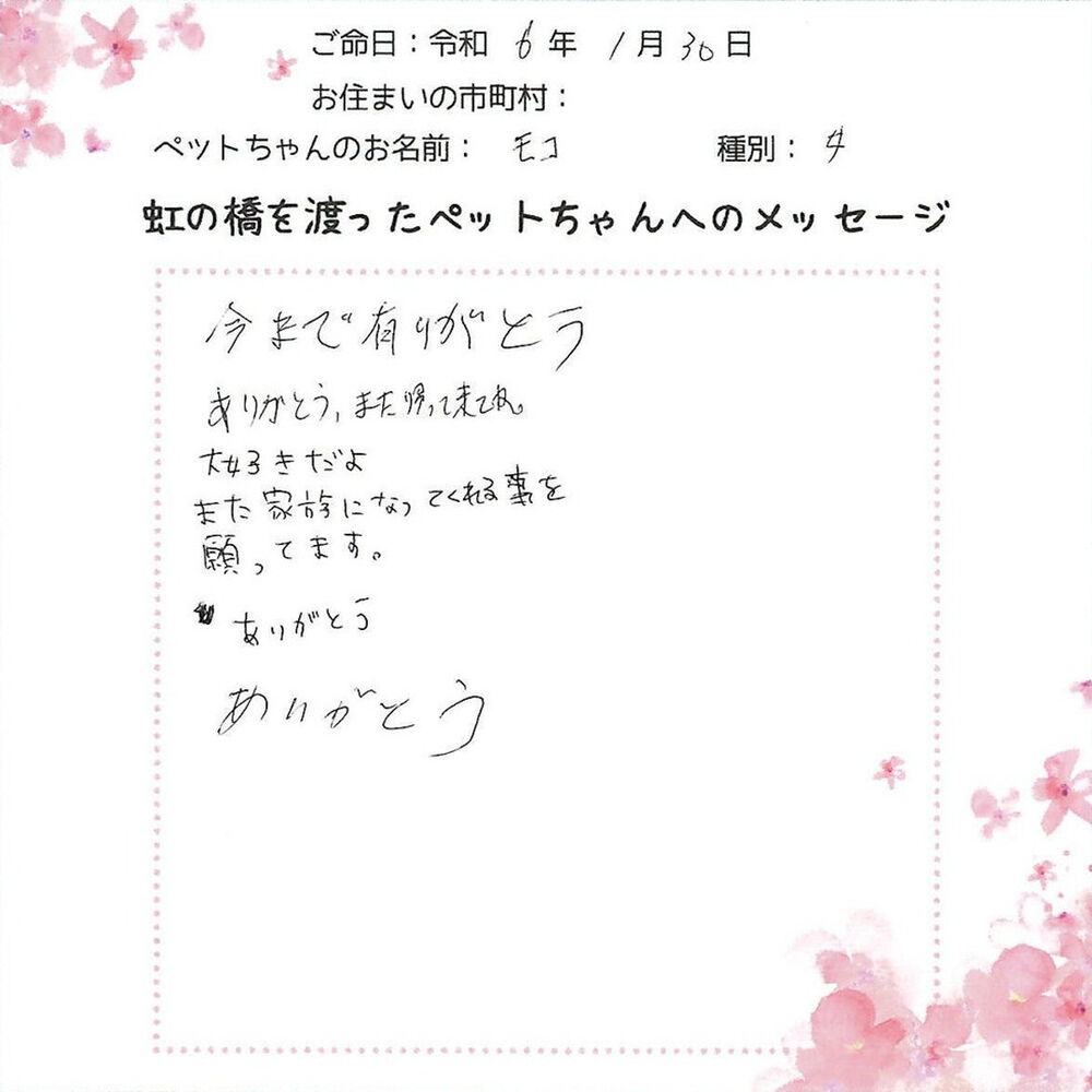 ブログ