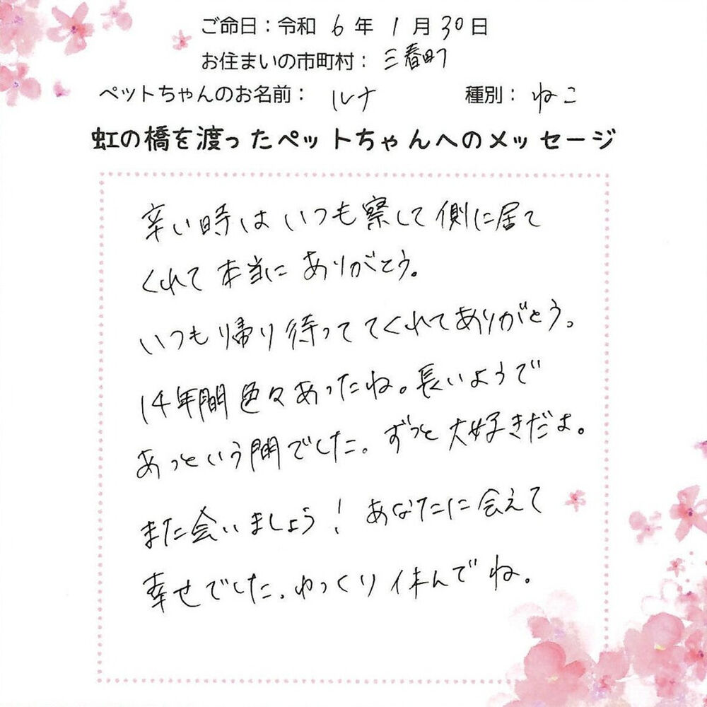 ブログ
