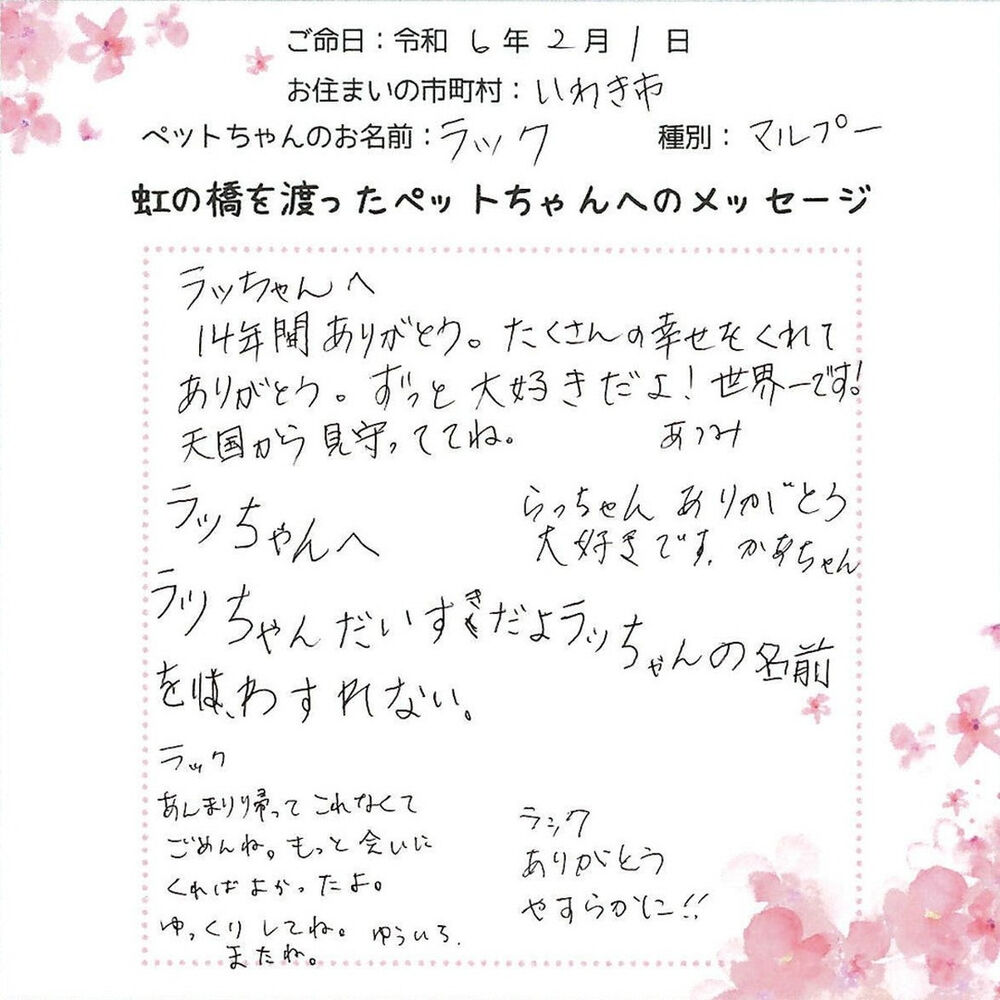 ブログ