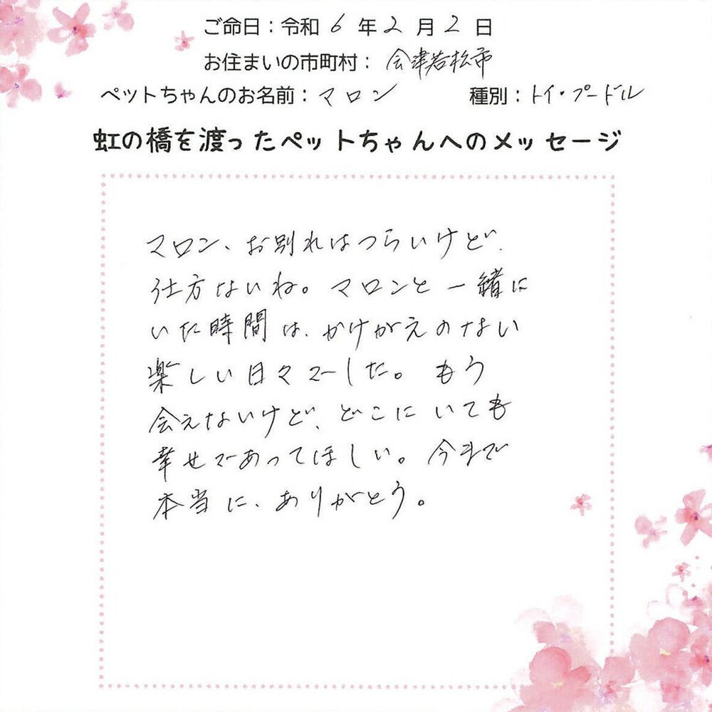 ブログ