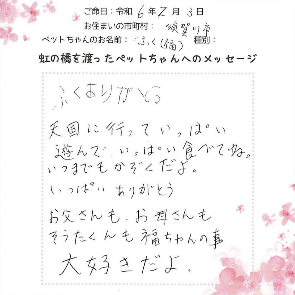 ブログ