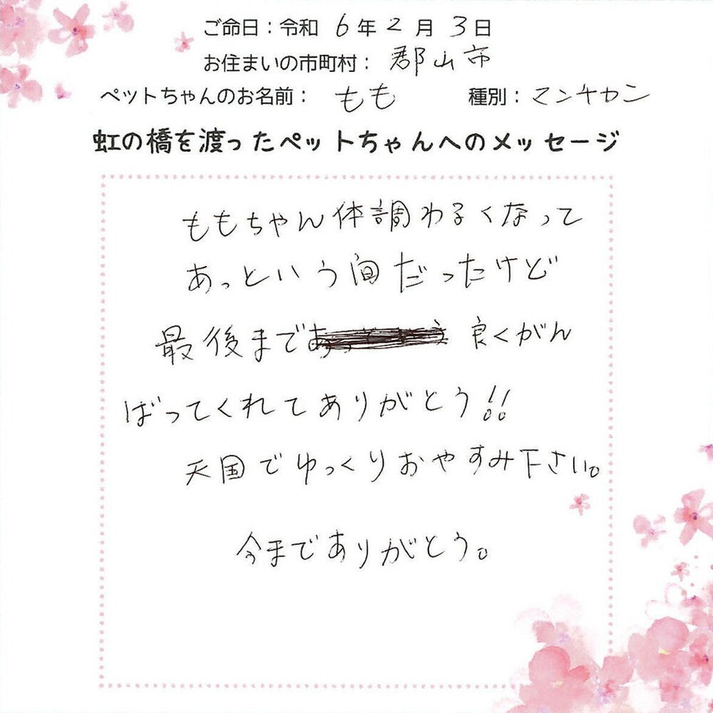 ブログ
