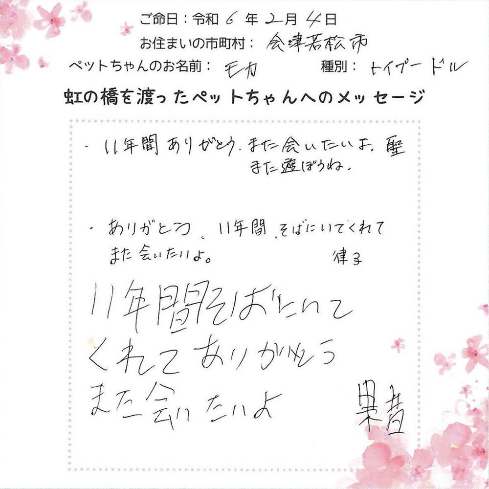 ブログ