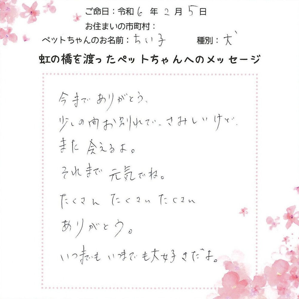 ブログ