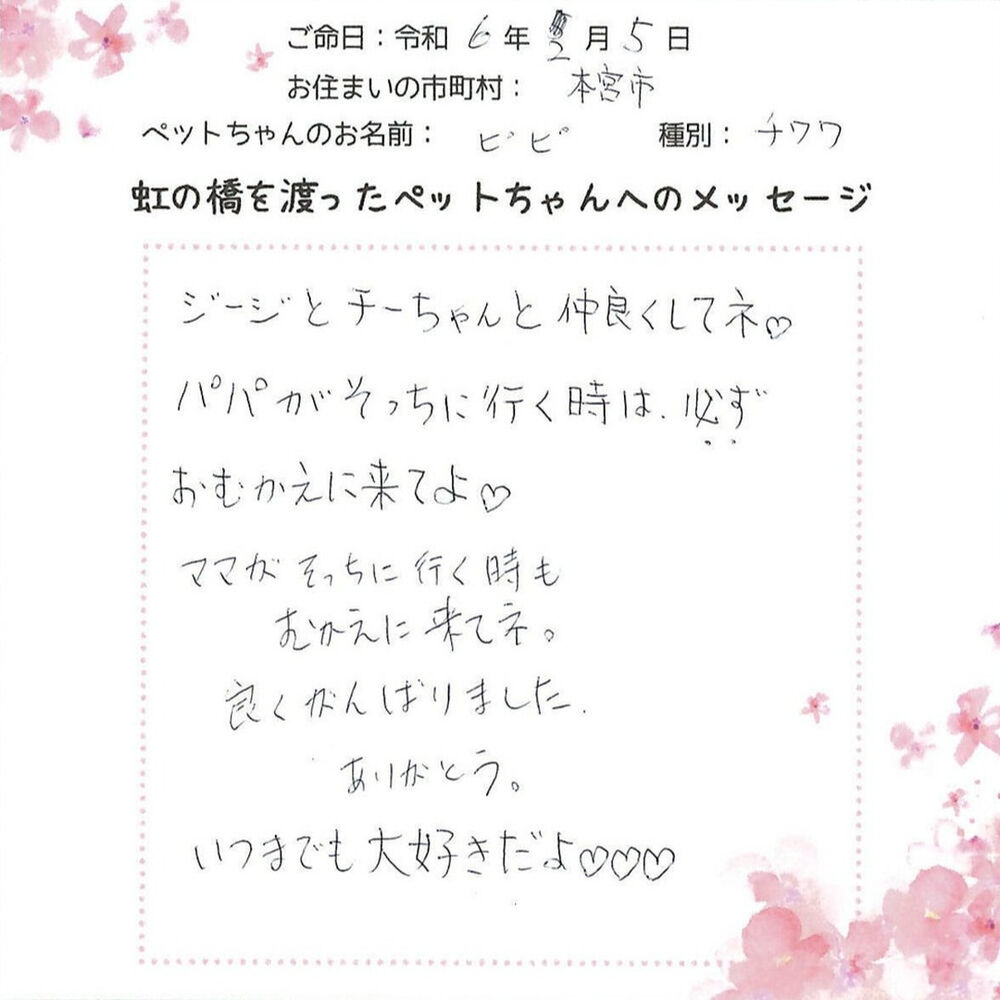 ブログ