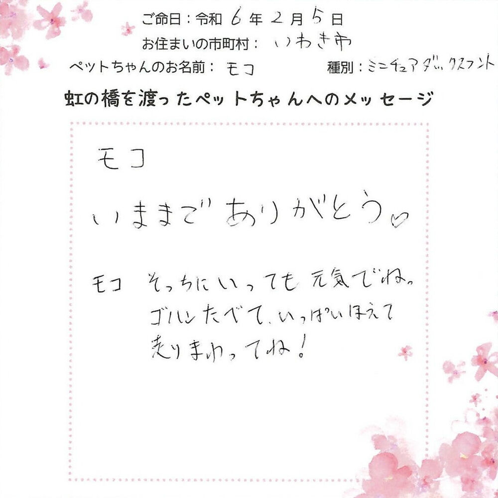 ブログ