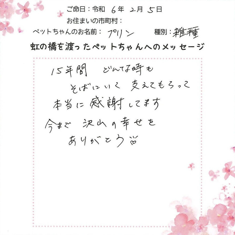 ブログ