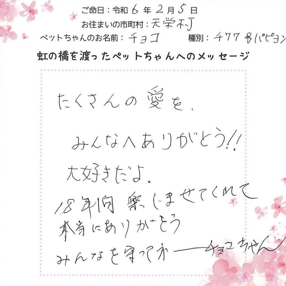 ブログ