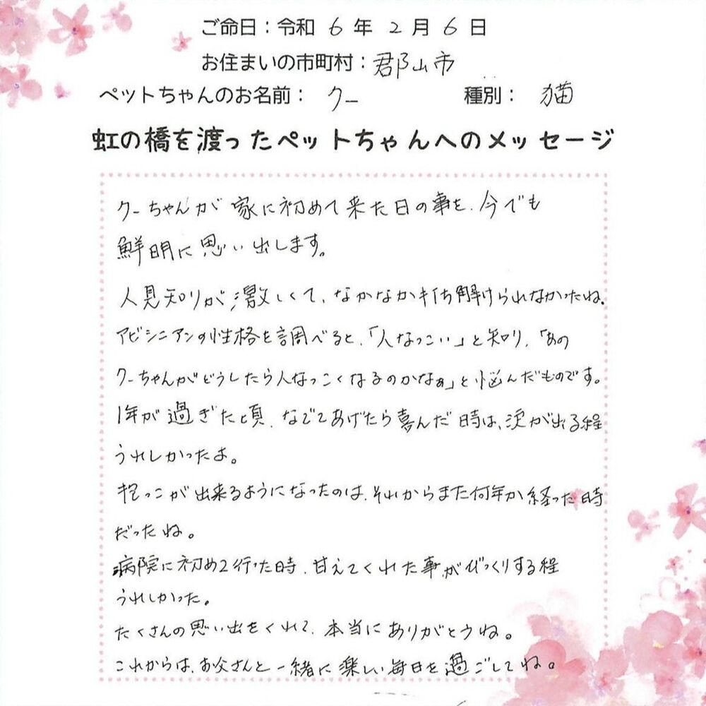 ブログ