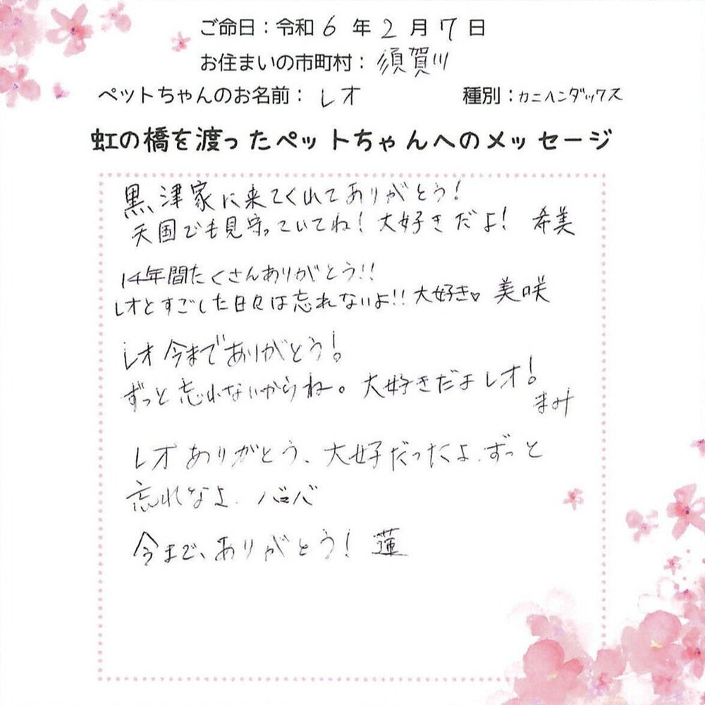 ブログ
