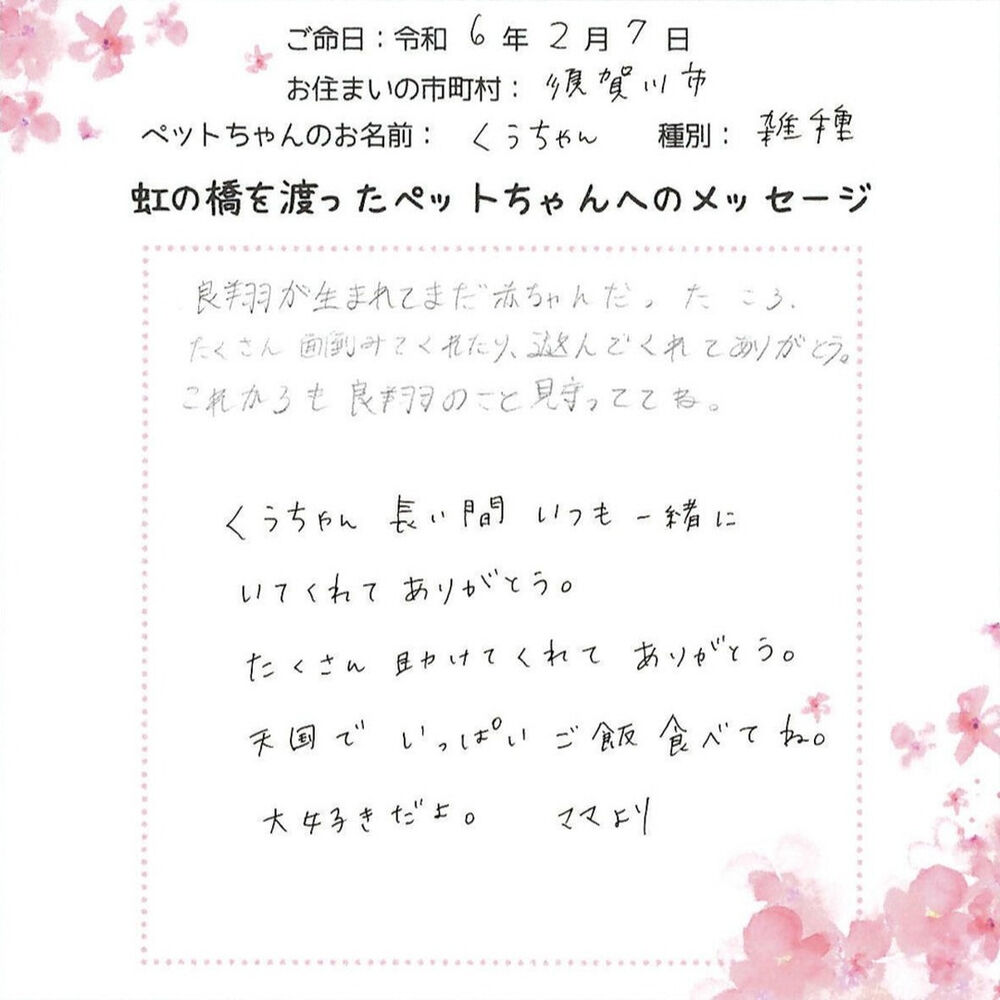 ブログ
