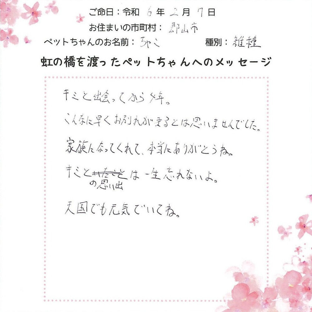 ブログ