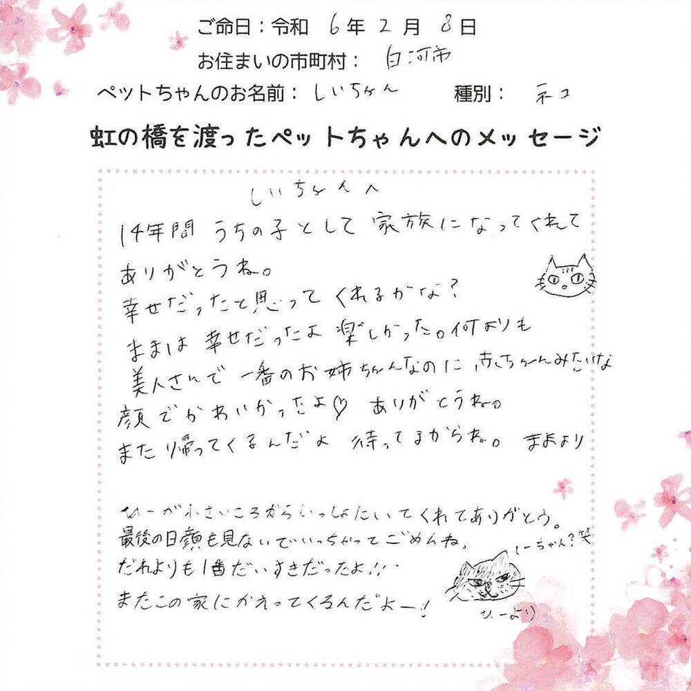 ブログ