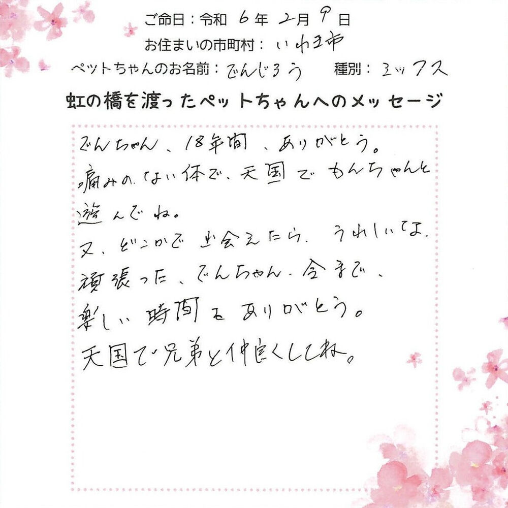 ブログ