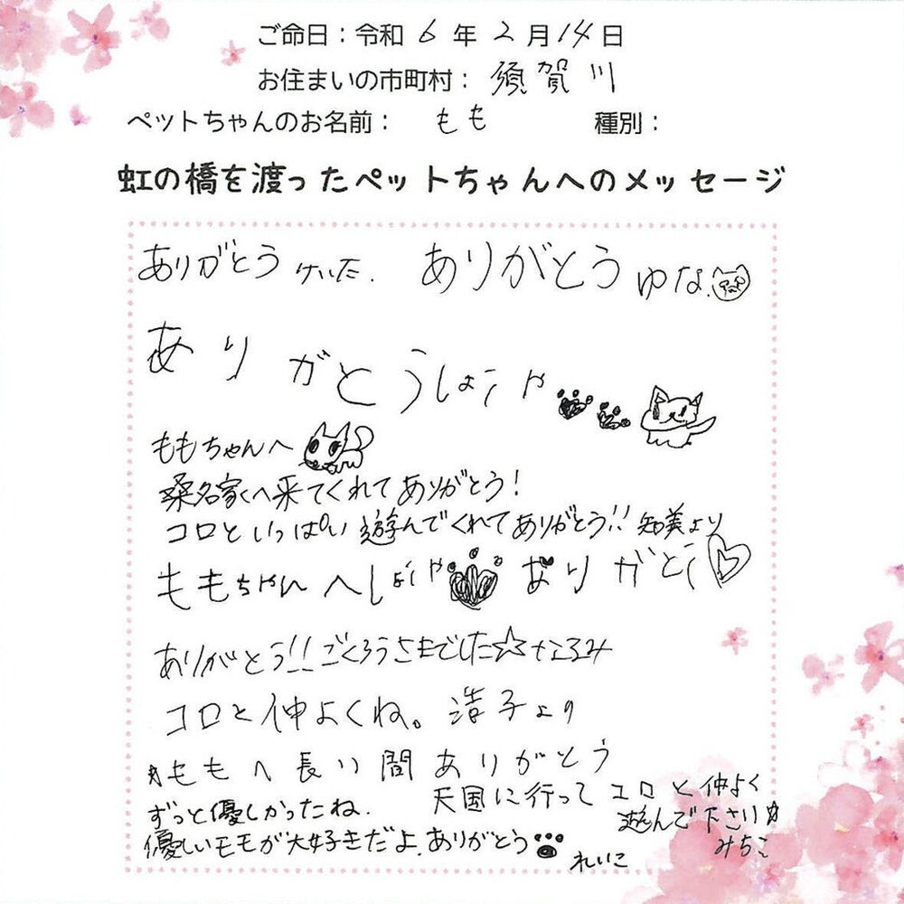 ブログ