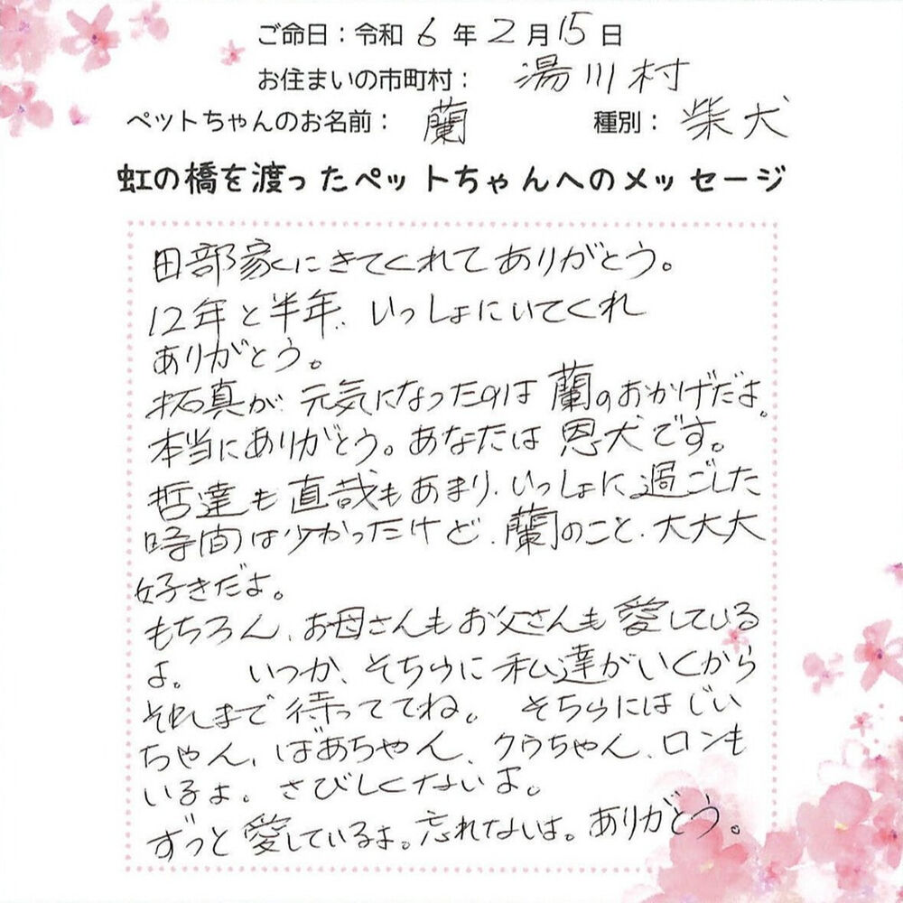 ブログ