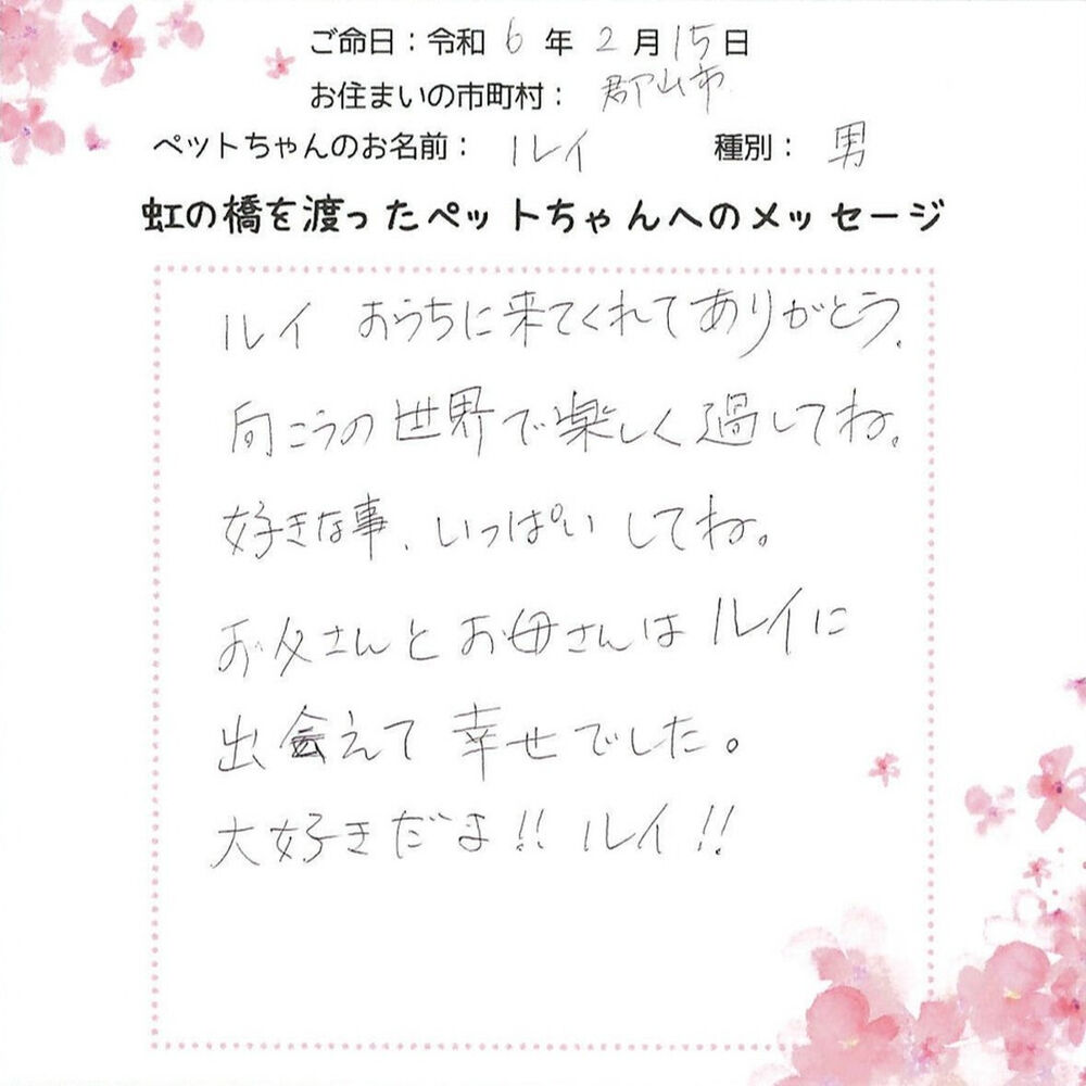 ブログ