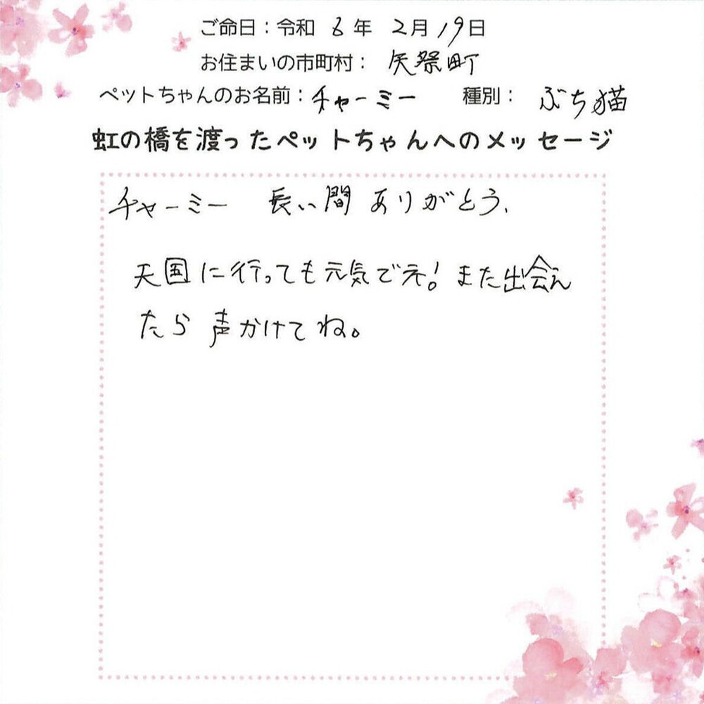 ブログ