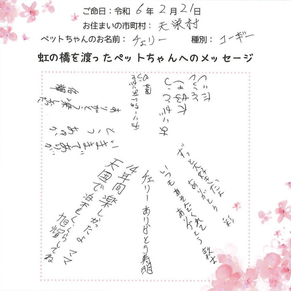 ブログ