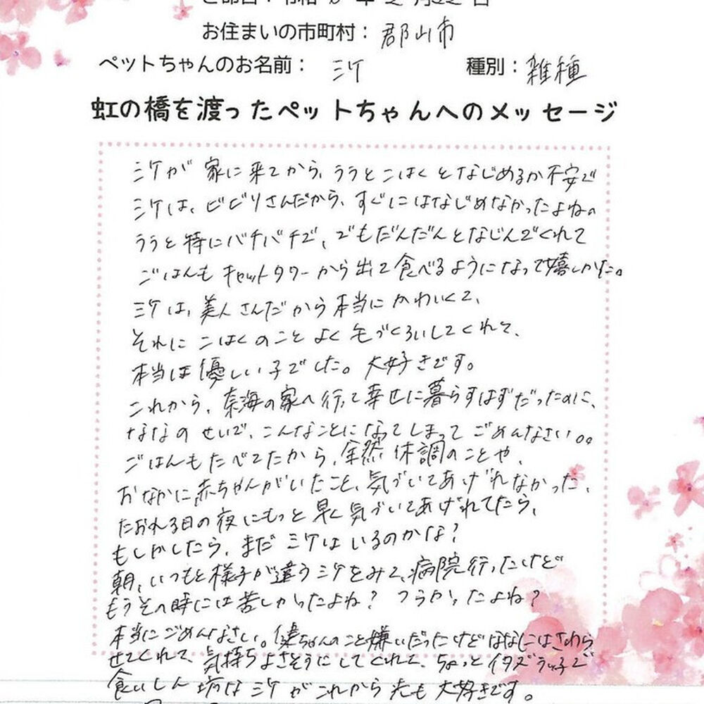 ブログ