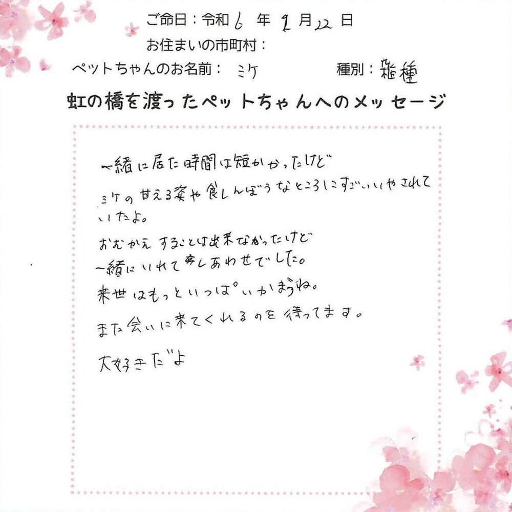 ブログ