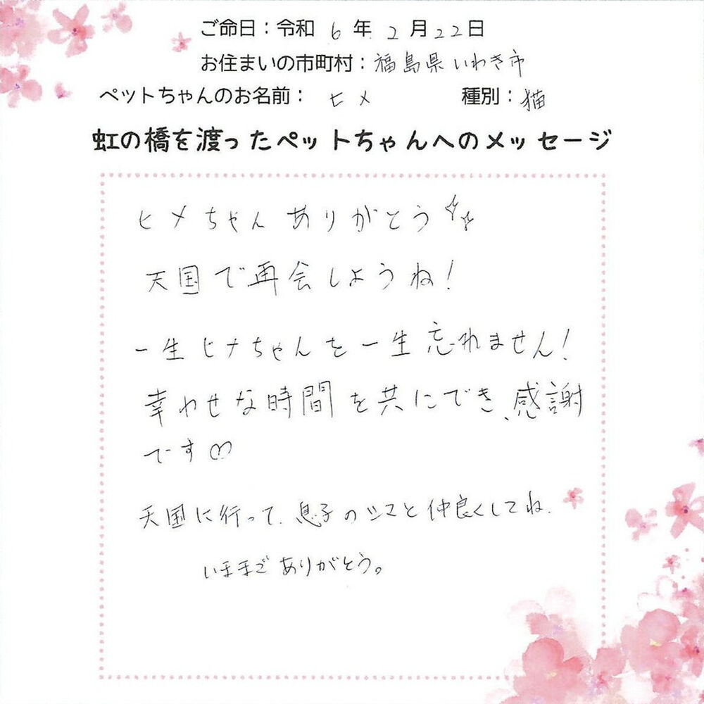 ブログ