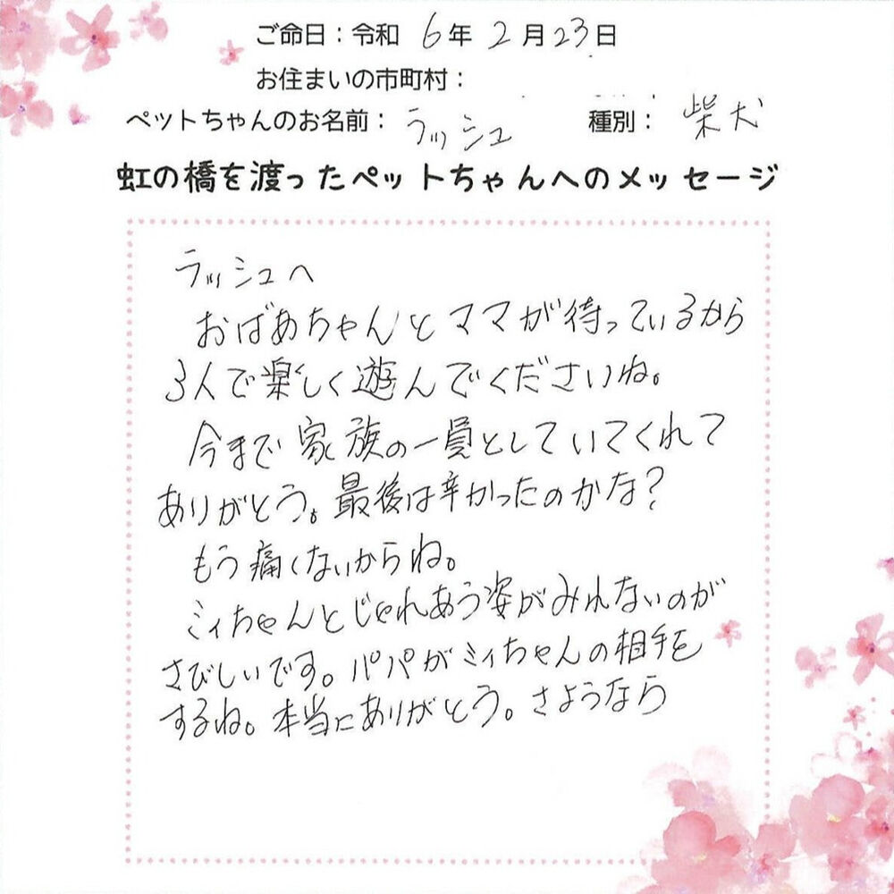 ブログ