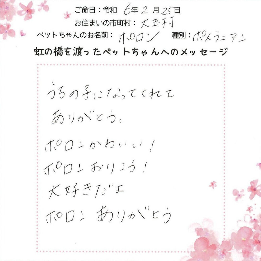 ブログ