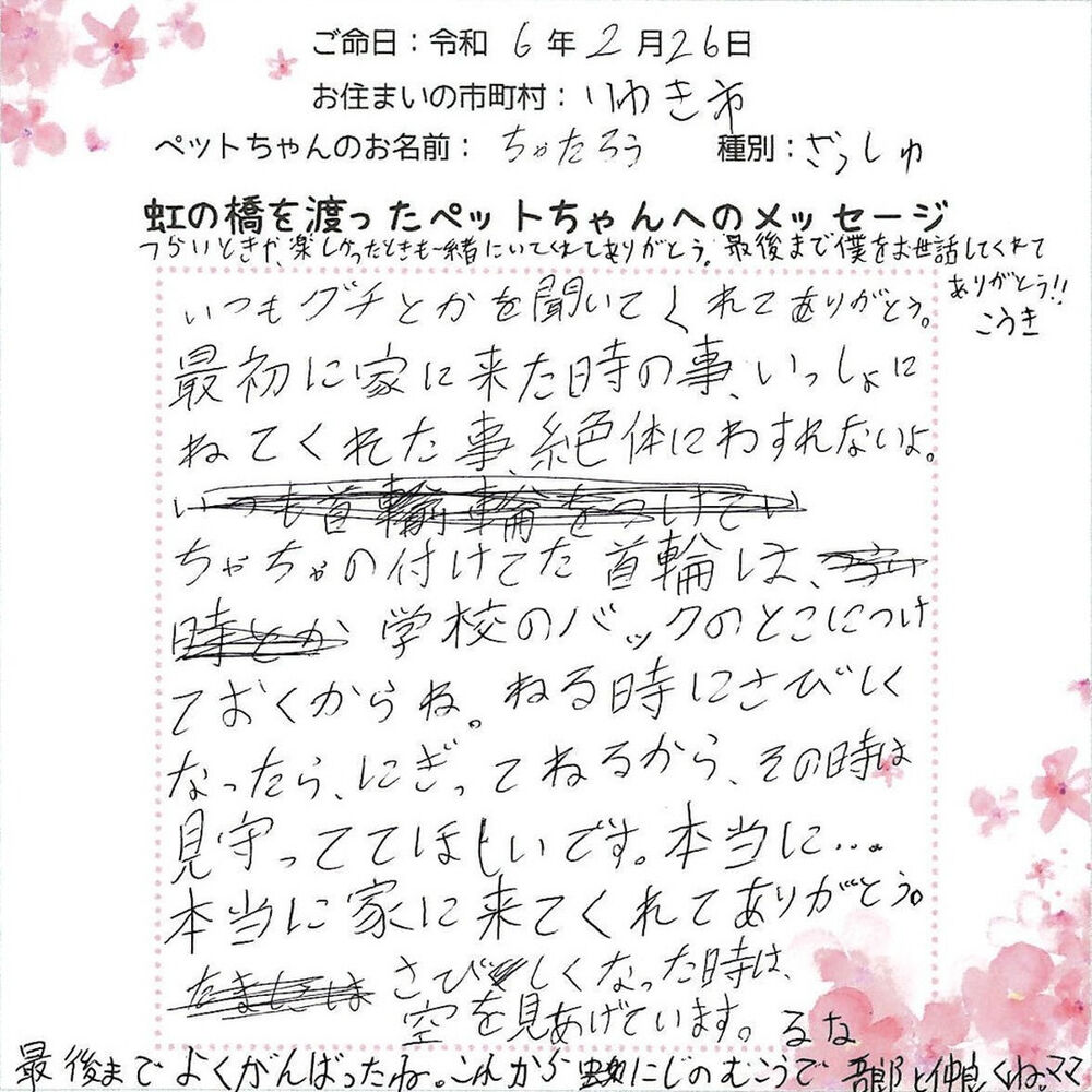 ブログ
