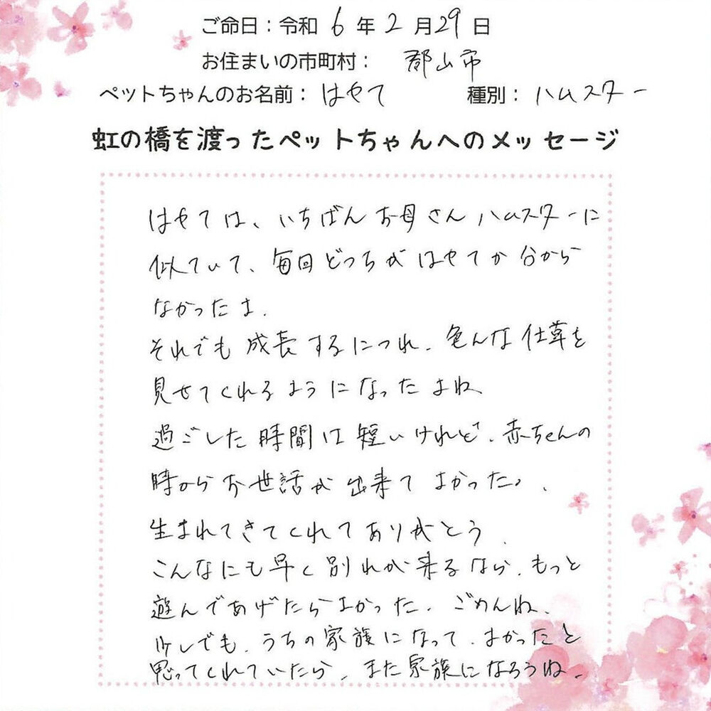 ブログ