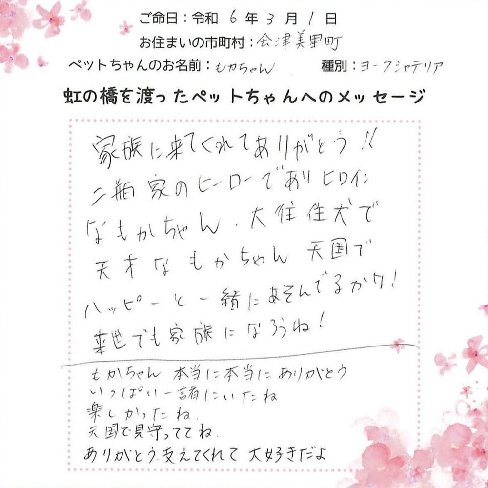 ブログ
