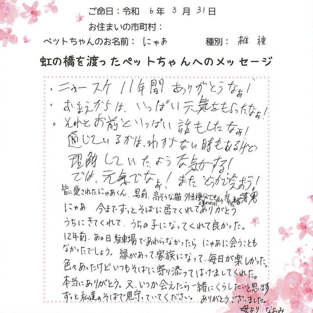 ブログ