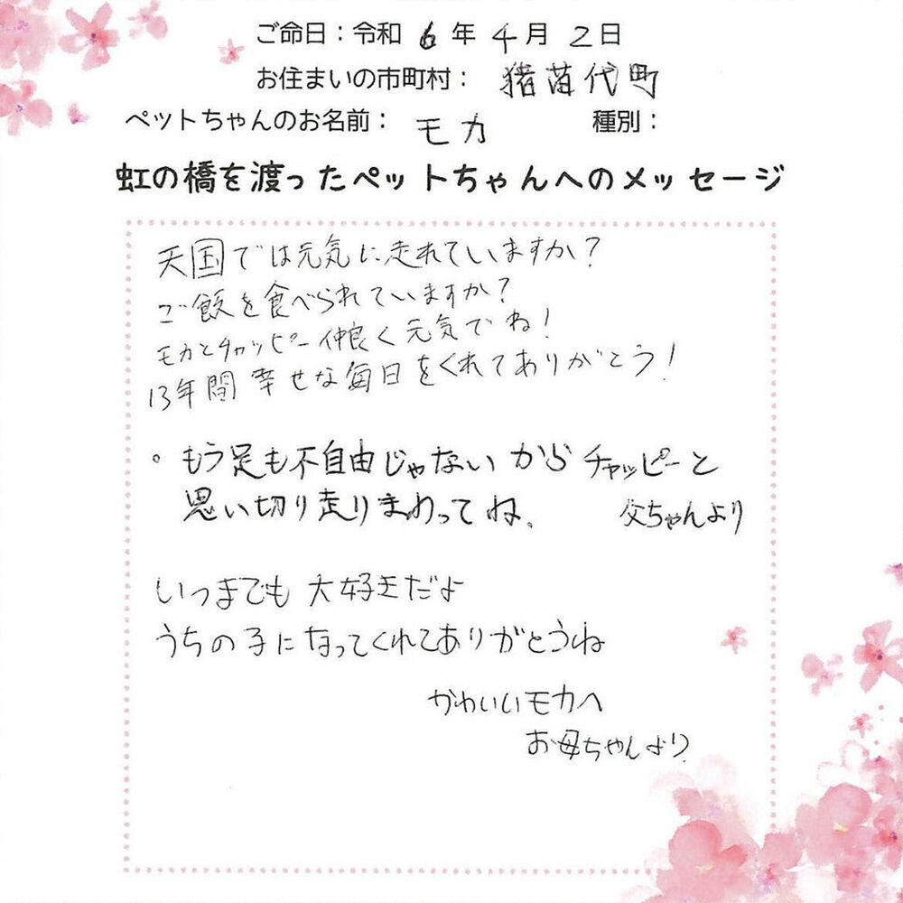 ブログ