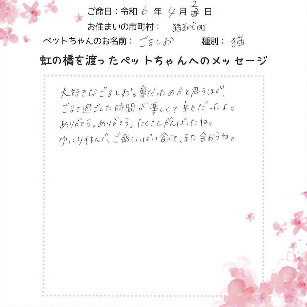 ブログ