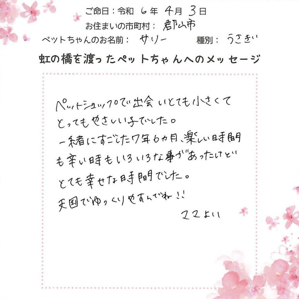 ブログ