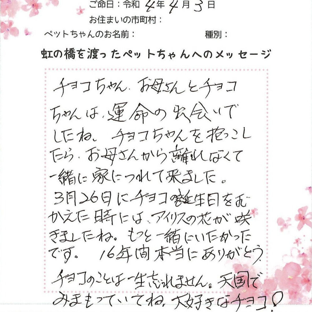 ブログ