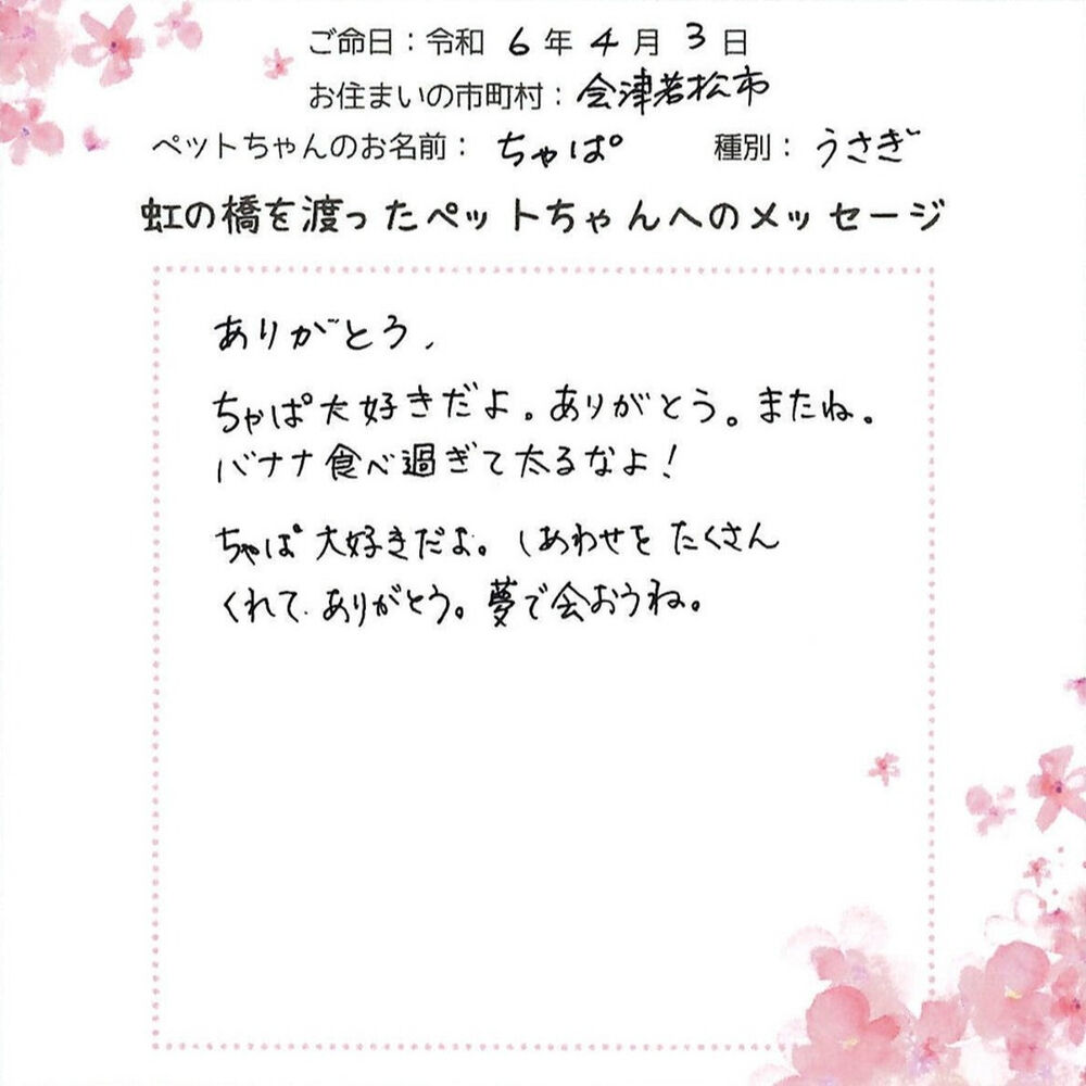 ブログ