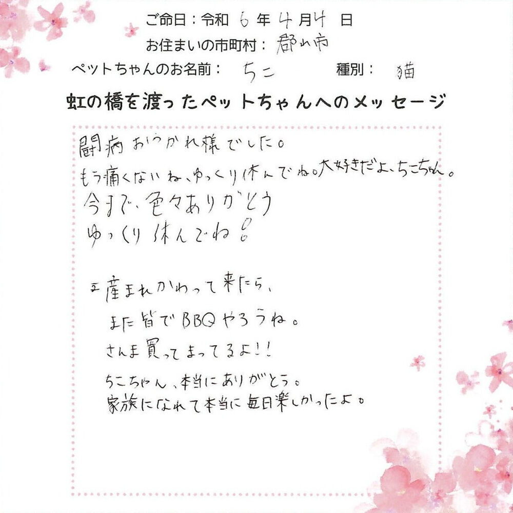 ブログ