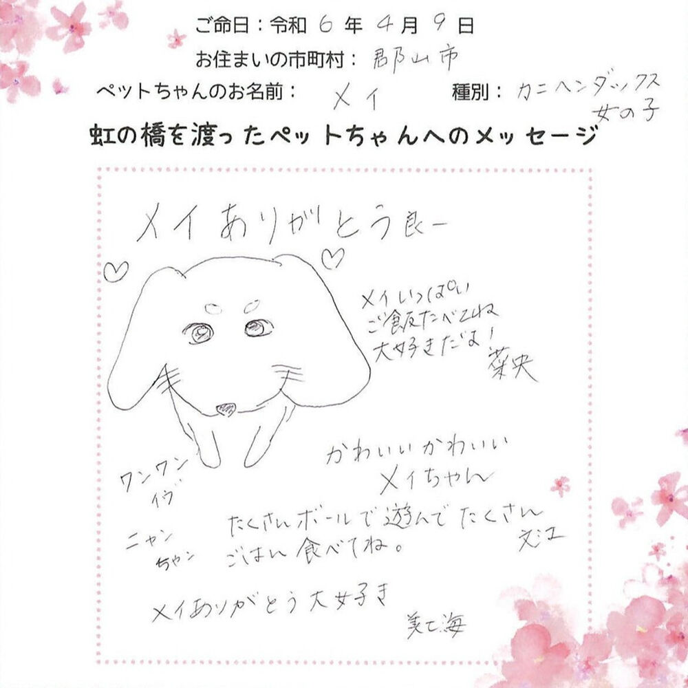 ブログ