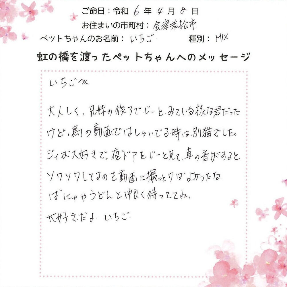 ブログ