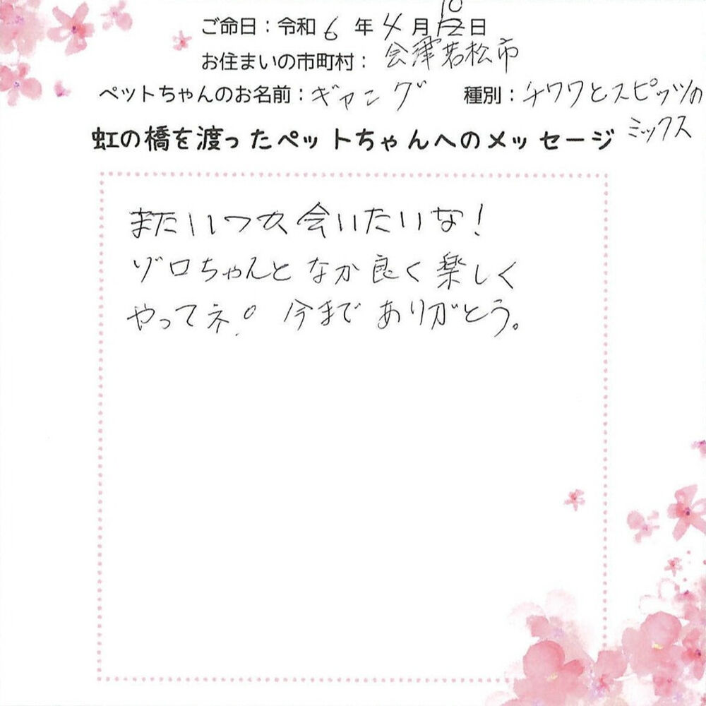 ブログ