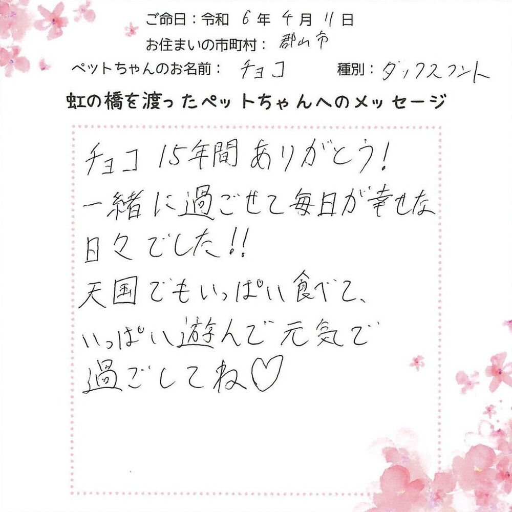 ブログ