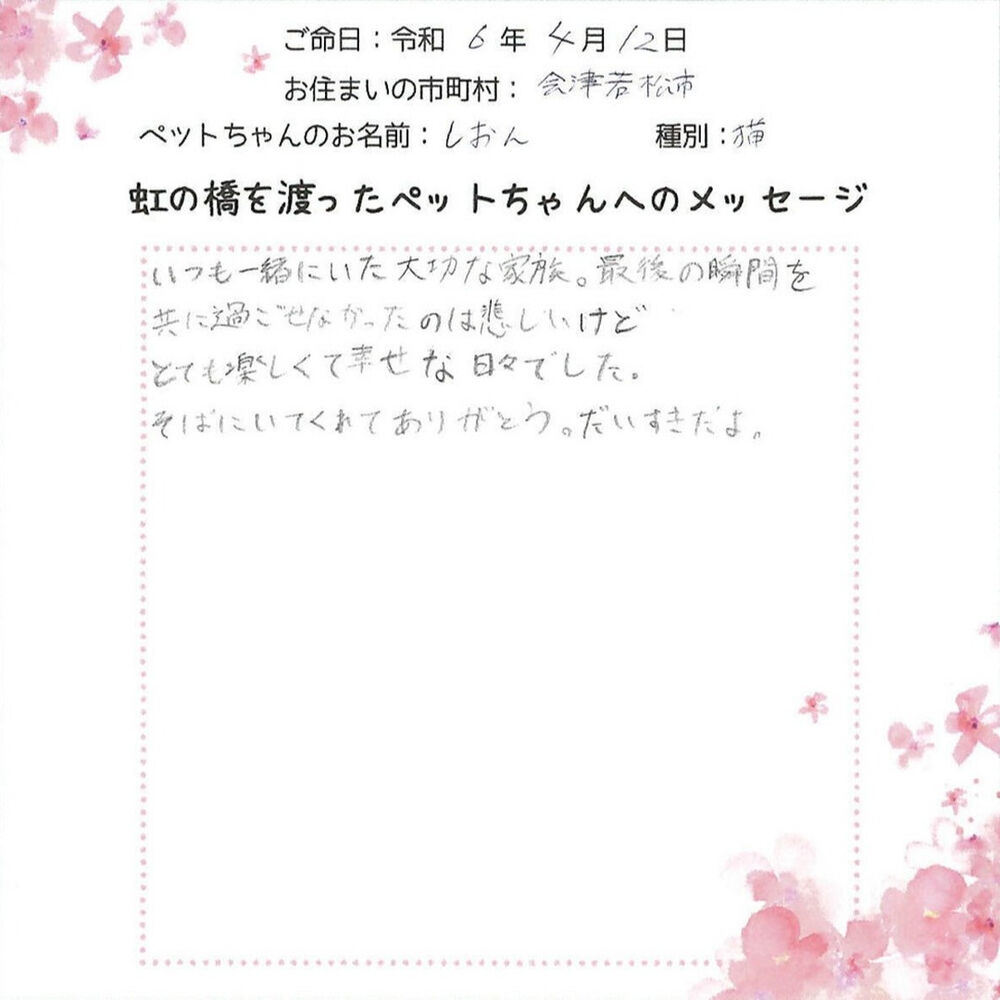 ブログ