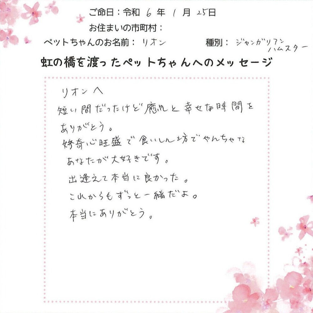 ブログ