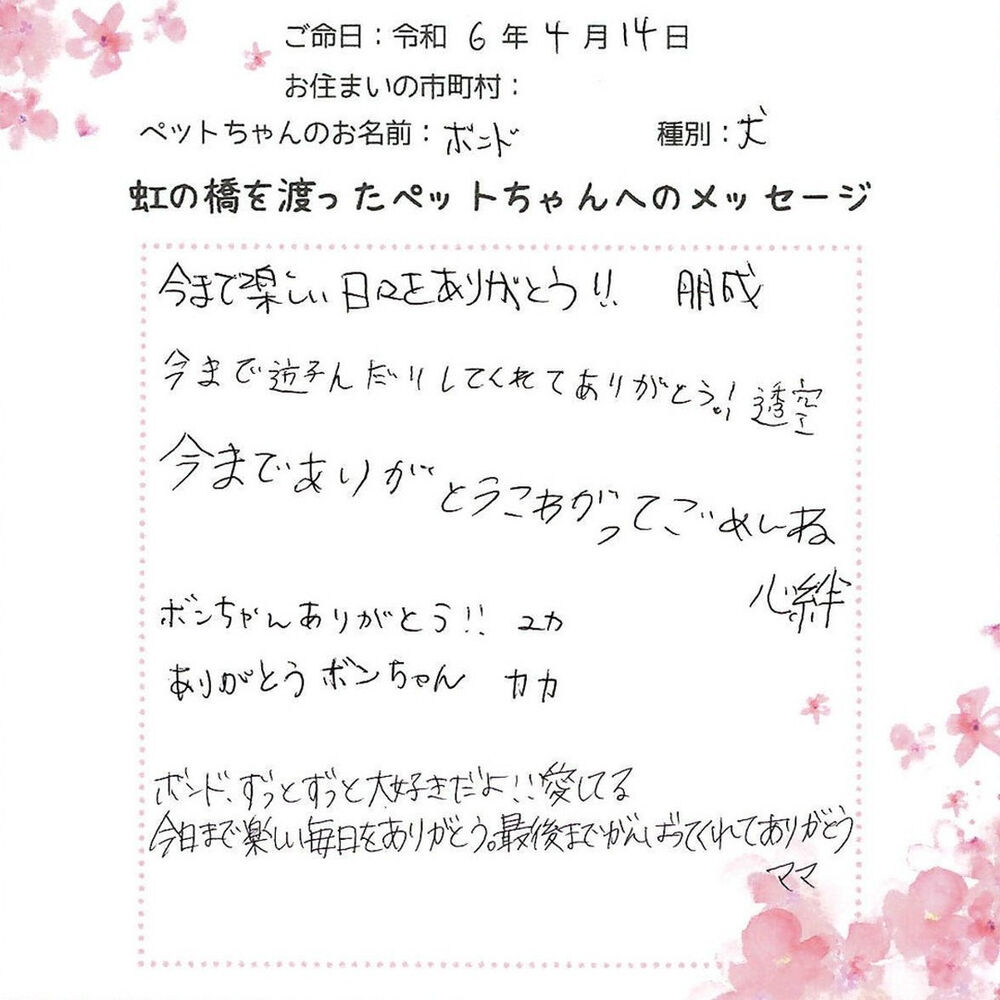 ブログ