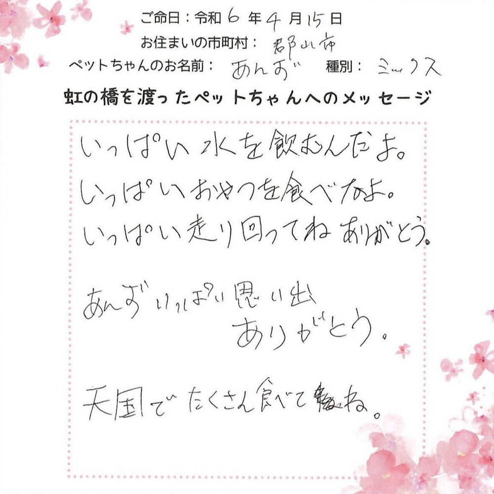 ブログ