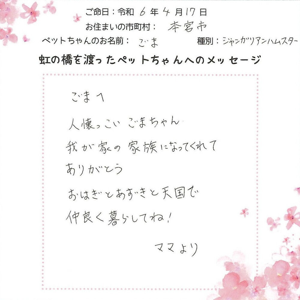 ブログ